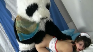 Cute fuzzy panda and a teen nurse have crazy sex