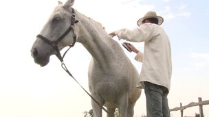 pussy hardcore doggystyle anal outdoor close up long hair reality cowgirl